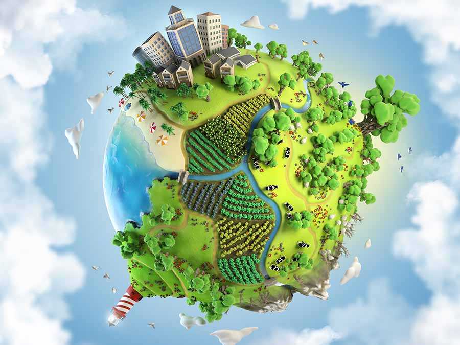 ¿Por qué es tan importante la educación ambiental?