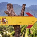 Viaje por las regiones de vinos en España: aprende y disfruta