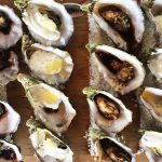 5 razones para ir al Festival de las Conchas y el Vino Nuevo 2018 en Ensenada