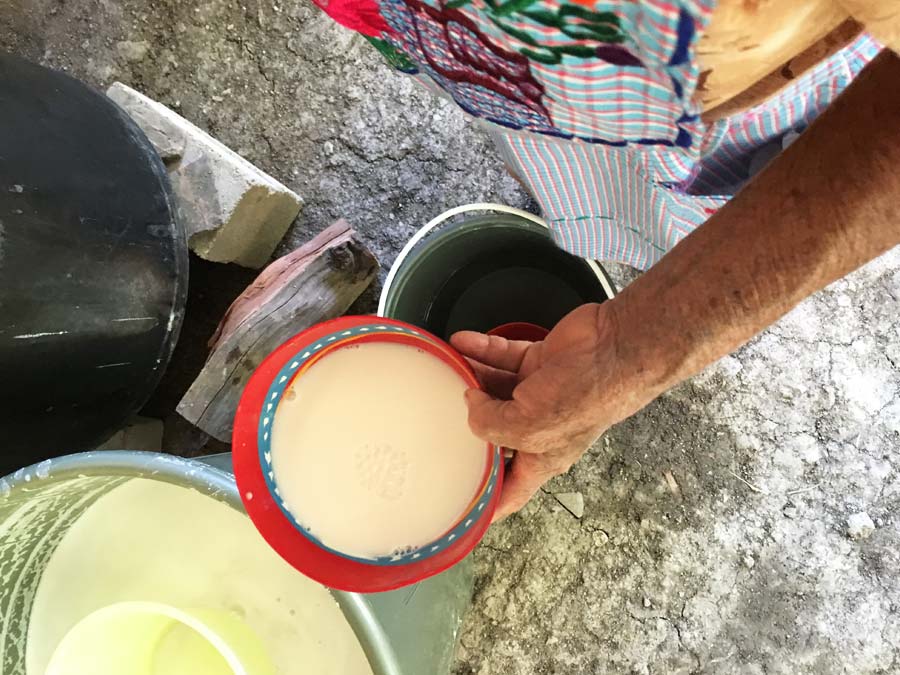 Atole blanco de las hermanas Navarro Foto: Mariana Castillo