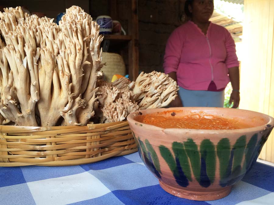 Atole rojo de San Antonio Cuajimoloyas Foto: Mariana Castillo