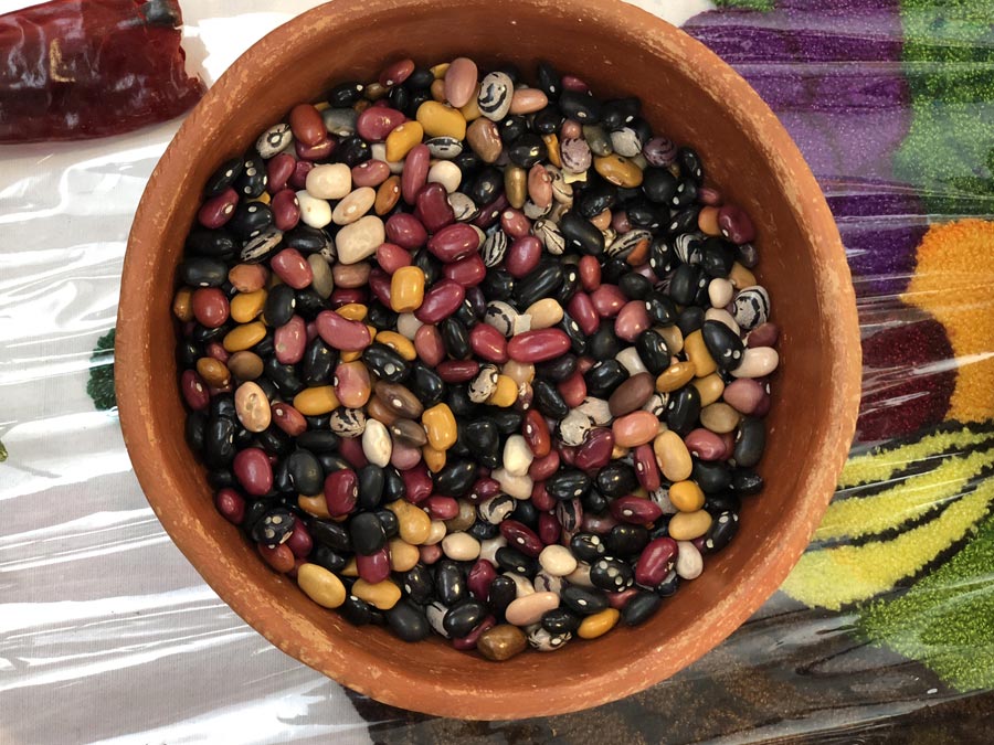 En Oaxaca existe una amplia variedad de frijoles milperos Foto: Mariana Castillo