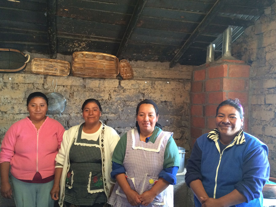Manos oaxaqueñas de la sierra: hongos en San Antonio Cuajimoloyas y comida de la zona Foto: Mariana Castillo