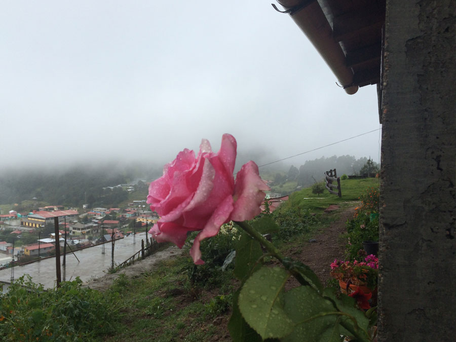 Además de ver hongos en San Antonio Cuajimoloyas disfrutarás del paisaje Foto: Mariana Castillo