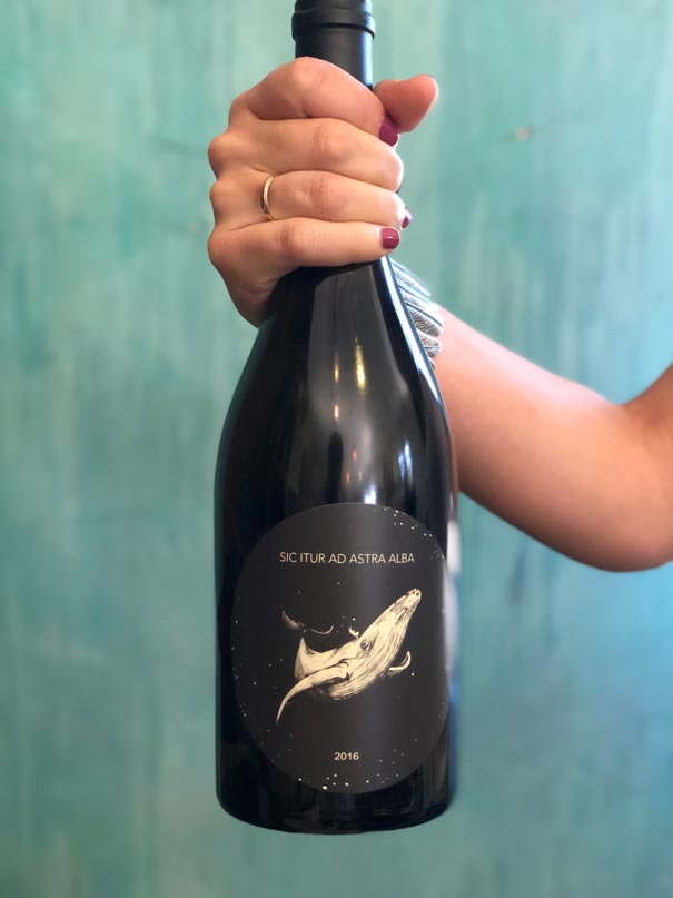 Sic Ictur Ad Astra Alba: vinos que debes probar si vas a las Vendimias 2018 Foto: Mariana Castillo Sic Ictur Ad Astra Alba: vinos que debes probar si vas a las Vendimias 2018 Foto: Mariana Castillo