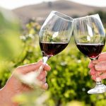 5 vinos que debes probar si vas a las Vendimias 2018 en Valle de Guadalupe