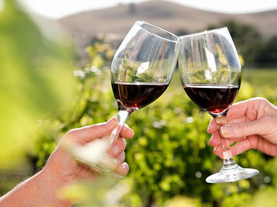 5 vinos que debes probar si vas a las Vendimias 2018 en Valle de Guadalupe