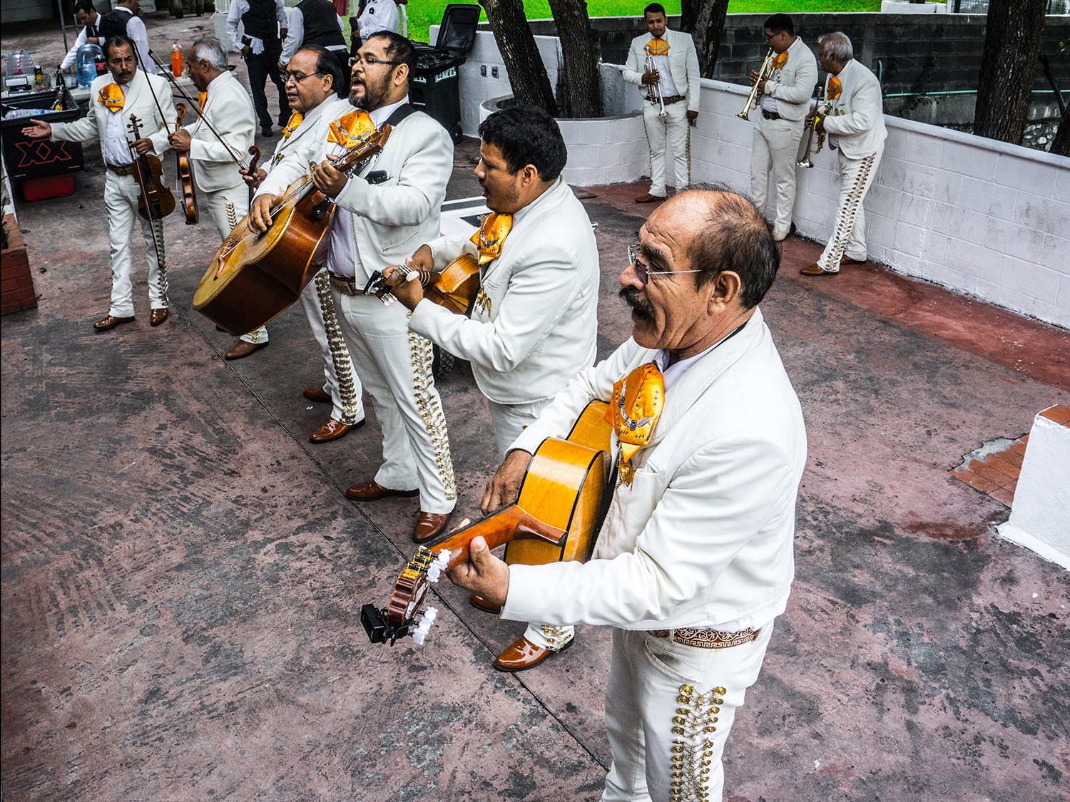 Actividades para celebrar las fiestas patrias 2019: ¡Viva México!