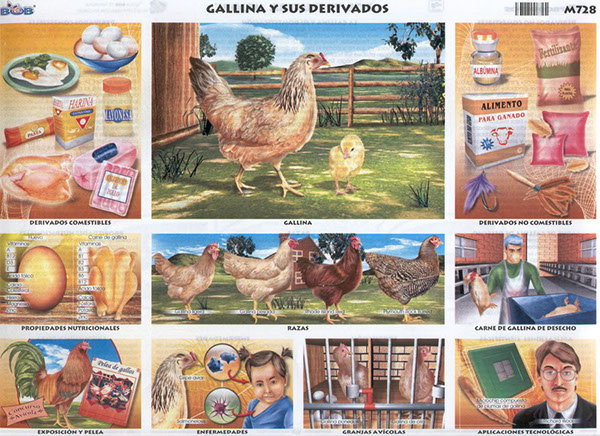 Detrás de una monografía siempre hay un gran ilustrador, él es Carlos Godínez_2