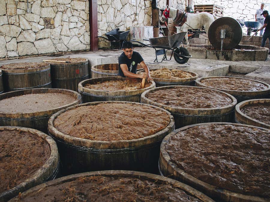 Palenques de mezcal en Oaxaca: Los Danzantes Foto: Los Danzantes