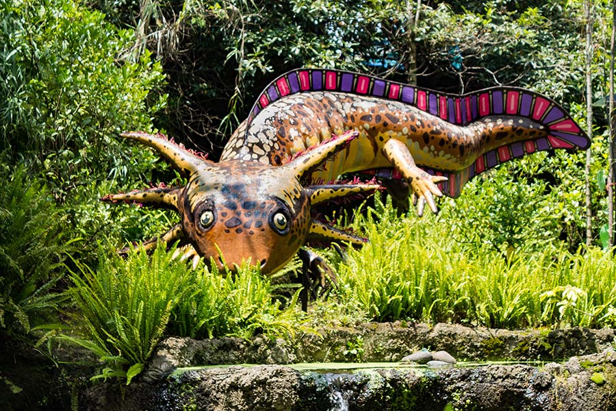 animales mexicanos en peligro de extinción