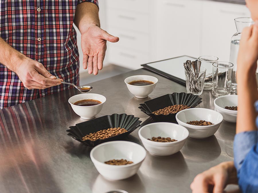 Tipos de granos de café para tu cafetería de especialidad