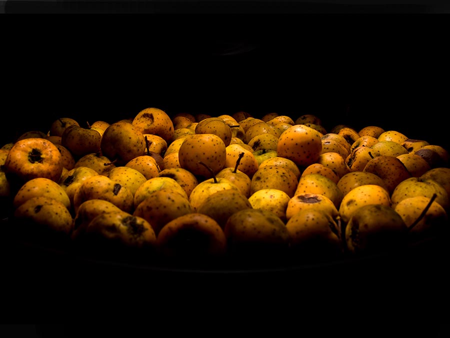 El Calientito lleva frutas de temporada como naranja, tejocote y caña