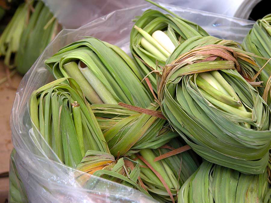 Las hojas para los tamales y los tipos de masa