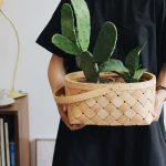Regalos ecológicos con los que puedes decir “te quiero verde”