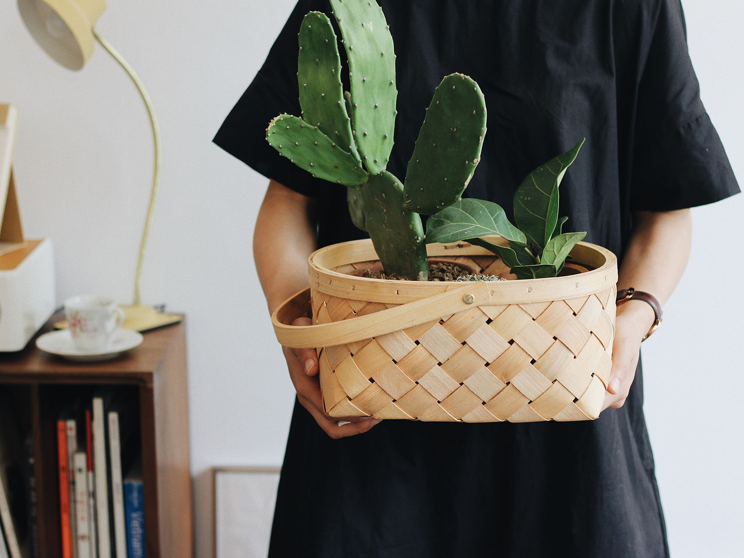 Regalos ecológicos con los que puedes decir “te quiero verde”