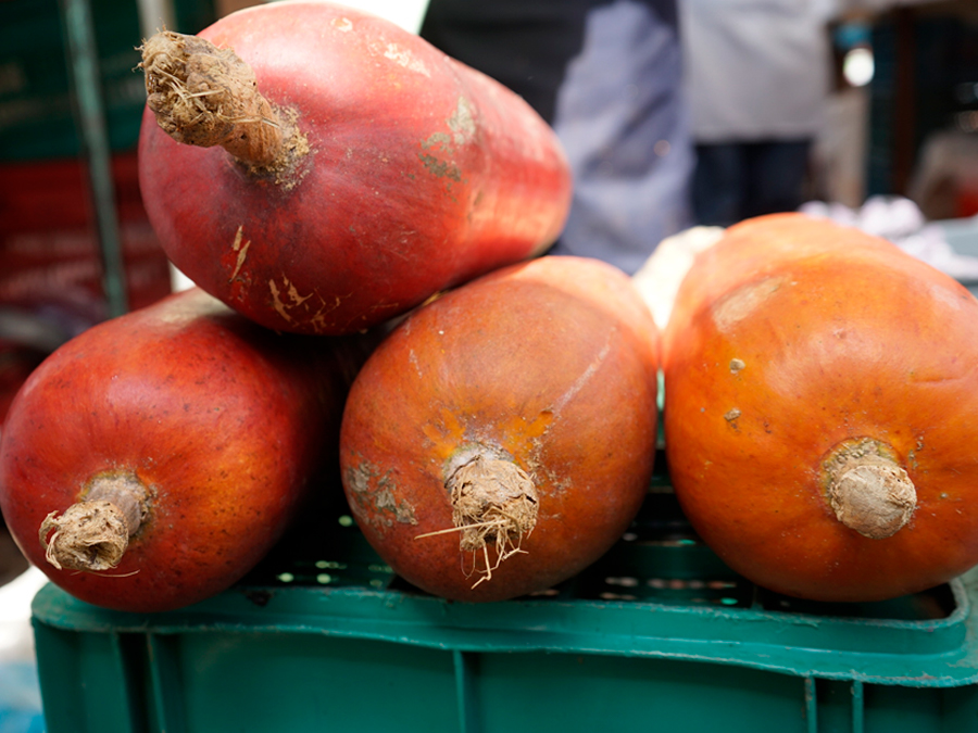 Los sabores de Cuetzalan: calabaza melón Foto: Mariana Castillo