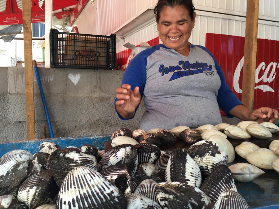 Escribir sobre comida: "La Güera" en Bahía de Kino Foto: Mariana Castillo