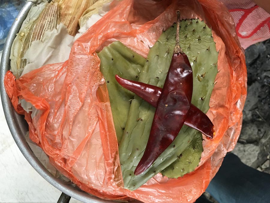 Cruz de chiles y hasta nopales como amuletos Foto: Mariana Castillo
