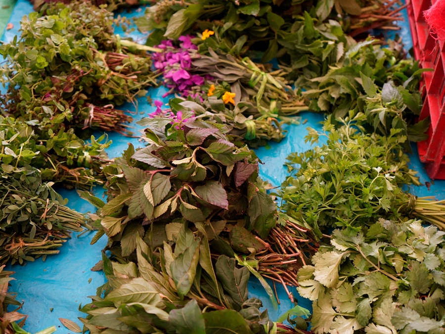 Los sabores de Cuetzalan: quelites y hierbas Foto: Mariana Castillo