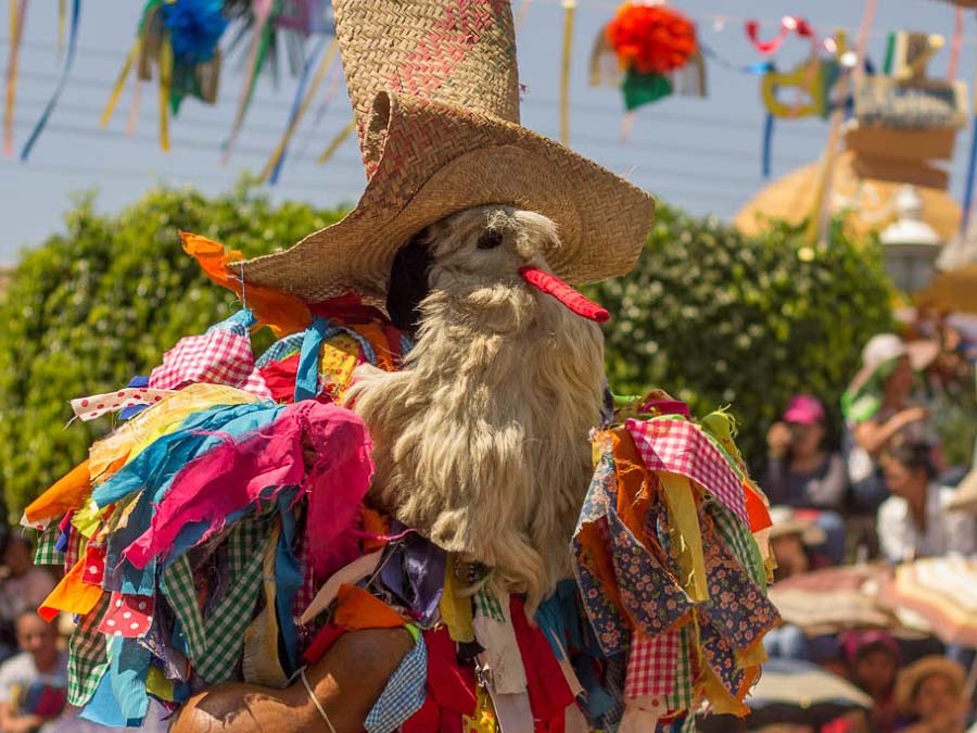 Carnavales en México: Carnaval de Huejotzingo Foto: .viveoaxaca.org