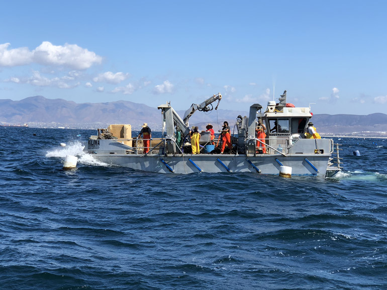 Glosario de la pesca en México: lo que debes saber
