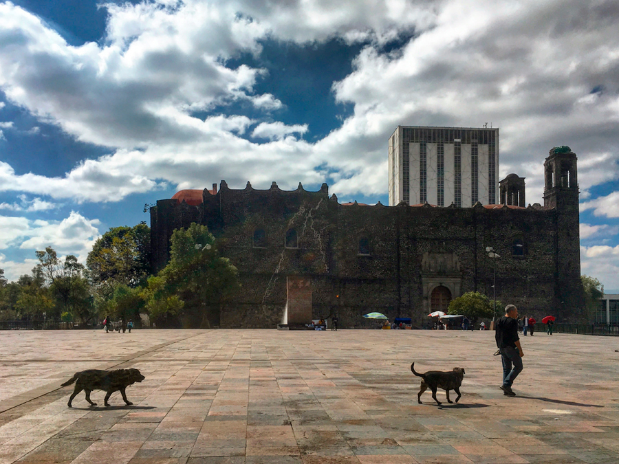 Un día en Tlatelolco: plaza de las tres culturas, iglesia de fondo Foto: Sebastián Castillo