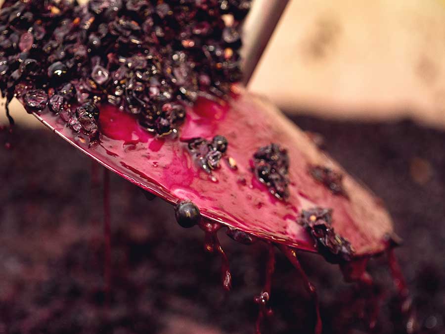 Bebidas fermentadas mexicanas y su consumo: piensa: ¿cuántos fermentos haz consumido hoy?