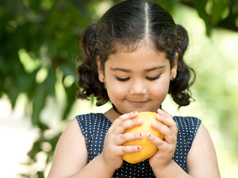 La comida de tu infancia: un cuestionario tragón