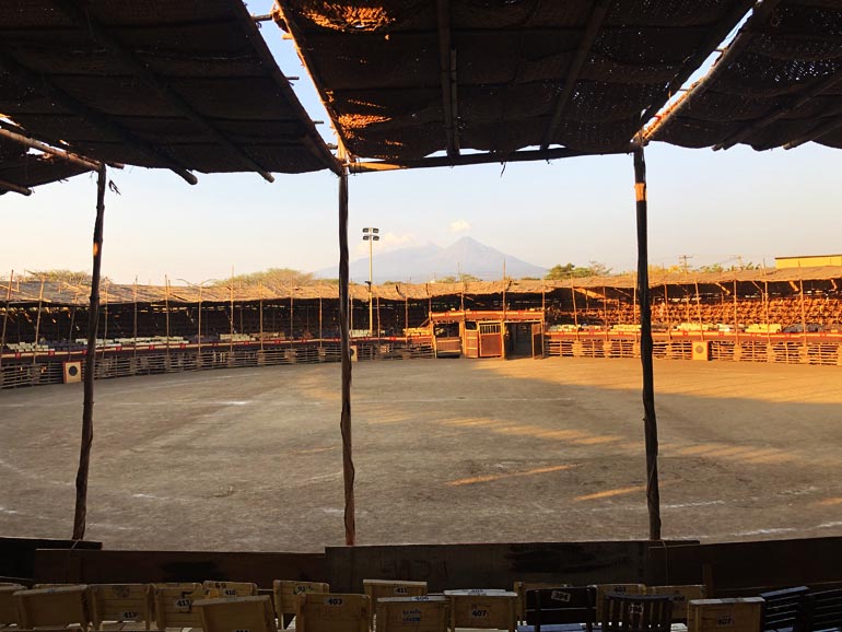 La Petatera de Colima: el volcán desde las gradas Foto: Mariana Castillo