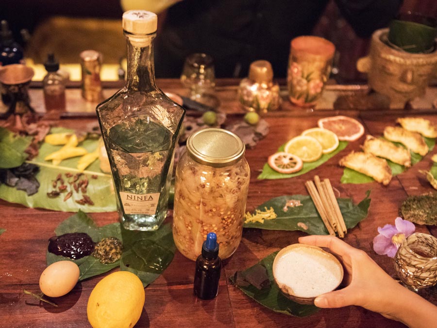 Especies comestibles del sur de Jalisco integradas en cocteles Foto: Tony Petate