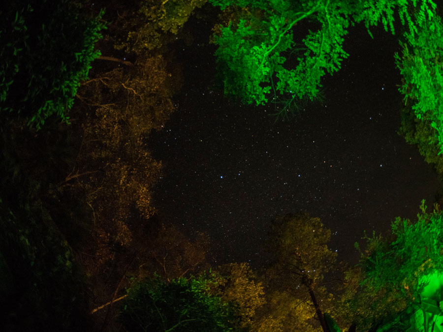 La noche estrellada en la Sierra Madre Occidental para apreciar la biodiversidad de Jalisco Foto: Tony Petate
