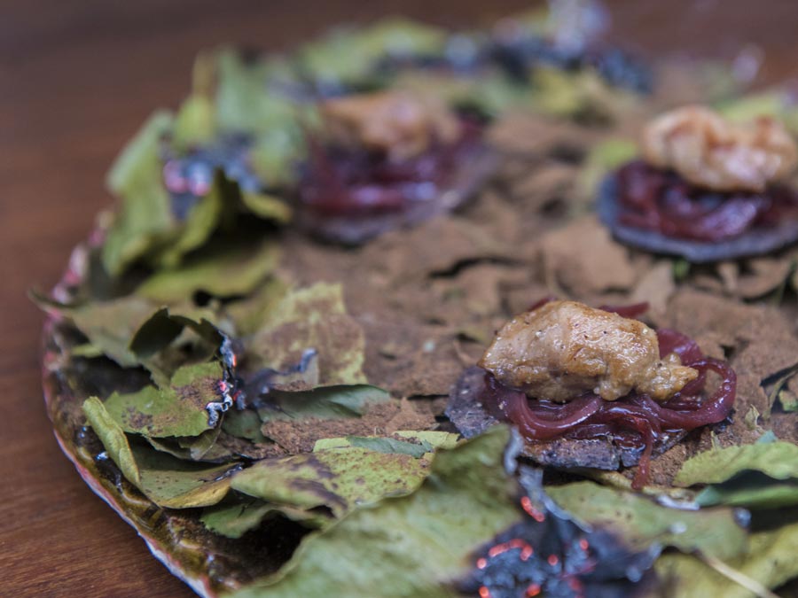 Ofrenda a la lluvia: platillo que incluye capomo, una de las especies comestibles del sur de Jalisco Foto: Tony Petate