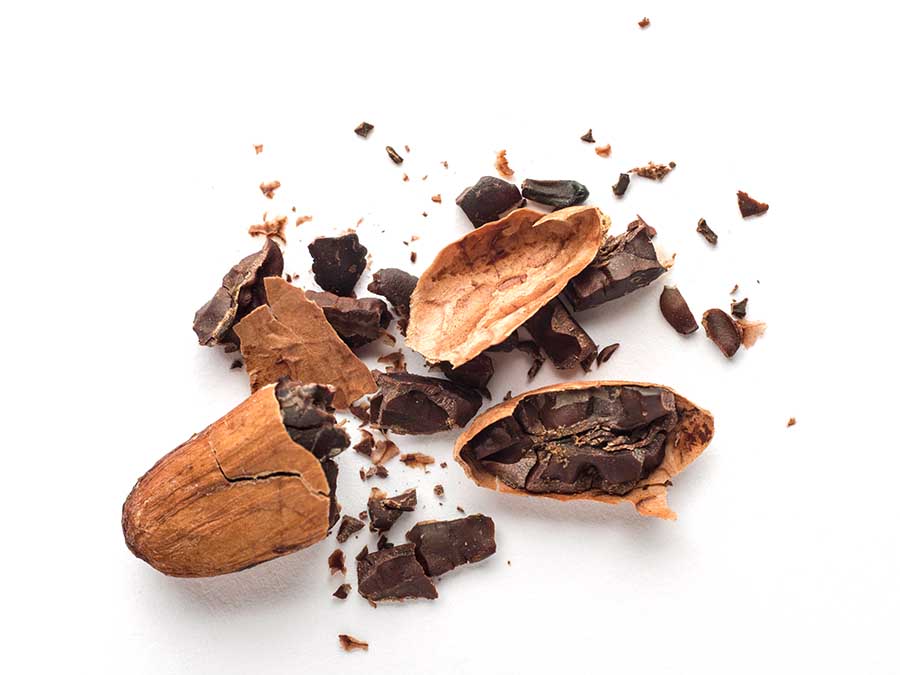 Usos rituales del cacao en Tabasco: hay diferentes bebidas cotidianas y ceremoniales con cacao que siguen vigentes