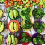 Los chiles de México: ¿sabemos tanto de ellos como debemos?