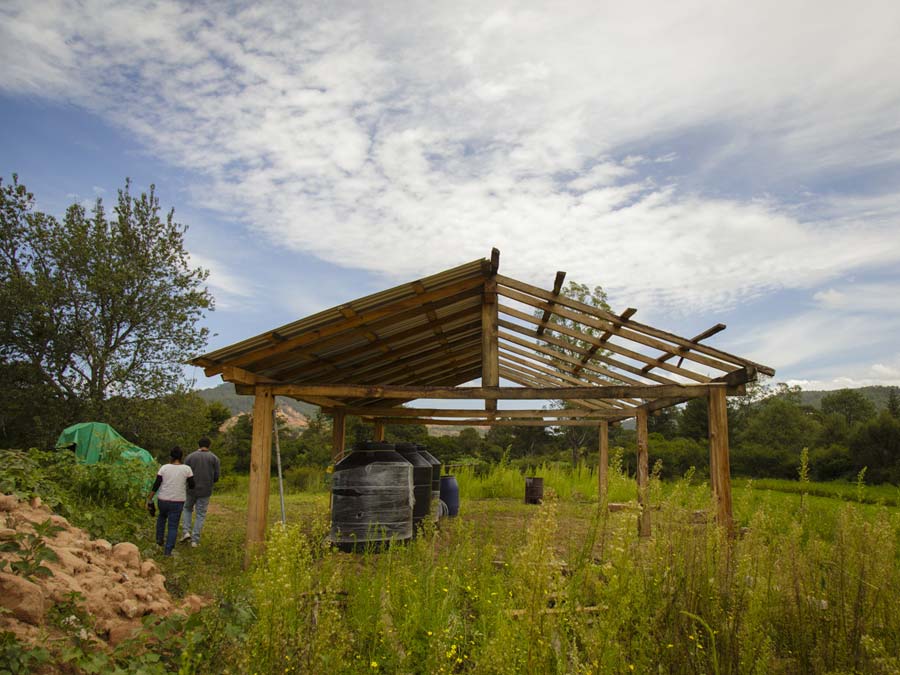 La tecnología campesina es importante para la agricultura sostenible Foto: Fernando Gómez Carbajal