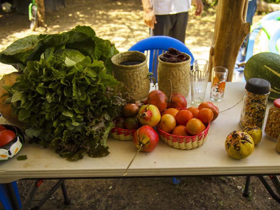 Con la agricultura sostenible se come lo que hay disponible por temporada Foto: Fernando Gómez Carbajal