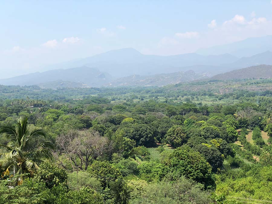 San Juan Bautista Cuicatlán, en la región de la Cañada: el hogar del chile chilhuacle de Oaxaca Foto: Mariana Castillo