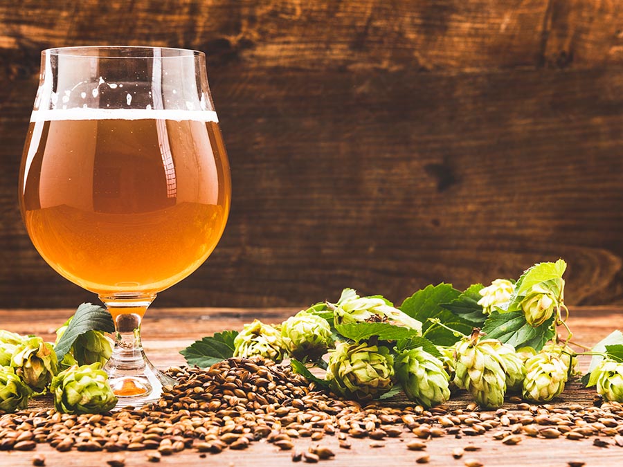 Tendencias en la cerveza artesanal para tomar en cuenta: lúpulos y sours