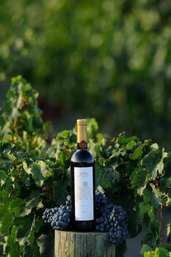 Ruta del Vino en México: Coahuila. Casa Madero Foto: Cortesía