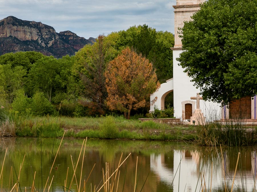 Ruta del Vino en México: Chihuahua Hacienda Encinillas Foto: Cortesía