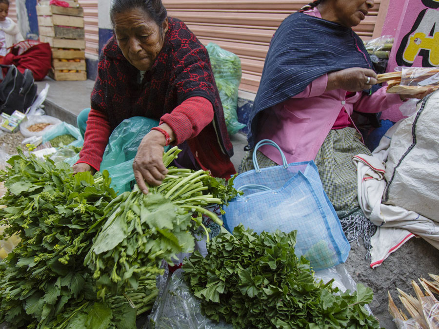 Quelites en Estado de México Foto: Fernando Gómez Carbajal