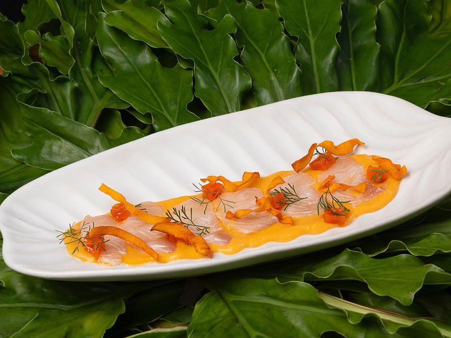 Tiradito King Kampachi en salsa de calabaza con coco y texturas de calabaza Foto: Yemanyá MX