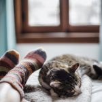 Días de asueto 2021, prepárate para descansar el año que viene