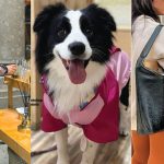 Bazares CDMX 2025: Guía para emprendedores y fashionistas