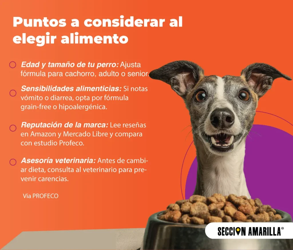 Descubre las mejores y peores croquetas para perro en México 2025. Precios, valoraciones y enlaces de compra, con recomendaciones veterinarias.