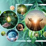 Marketing circular, estrategia para ser una empresa responsable con el medio ambiente 