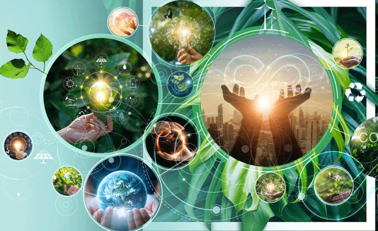Marketing circular, estrategia para ser una empresa responsable con el medio ambiente