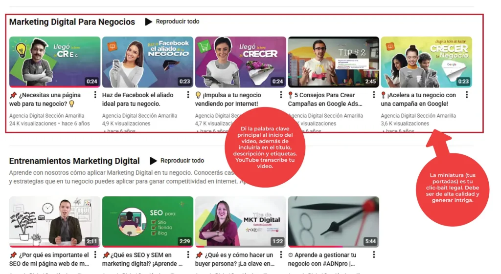 Optimizacion-SEO-para-tu-negocio-empresa-Marca-en-Busquedas-Redes-Sociales-Seccion-amarilla-blog-marketing-digital-agencia-youtube-posicionamiento.webp