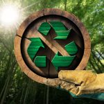 ¿Qué es la madera sustentable y por qué elegirla para tus proyectos? 